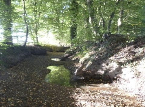 Restwasserpools vorhanden