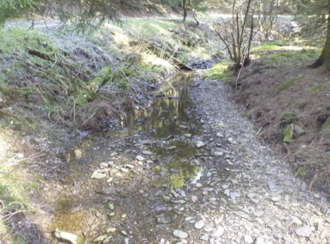 Restwasserpools vorhanden