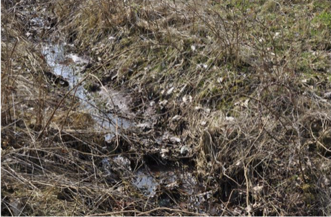 Durchgehender Wasserfaden