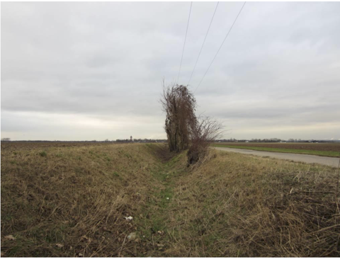 Sohle bewachsen mit Landvegetation