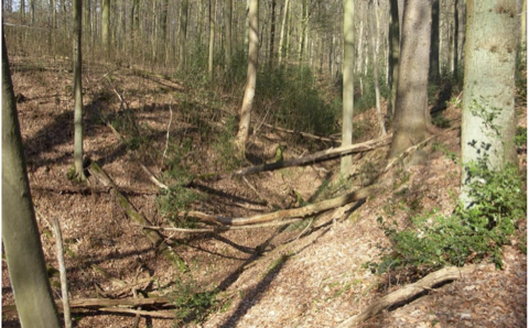 vollständig trocken